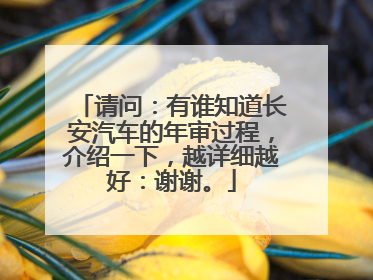 请问：有谁知道长安汽车的年审过程，介绍一下，越详细越好：谢谢。