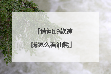 请问19款速腾怎么看油耗