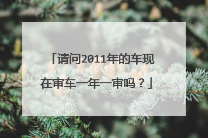 请问2011年的车现在审车一年一审吗？