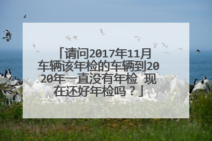 请问2017年11月车辆该年检的车辆到2020年一直没有年检 现在还好年检吗？