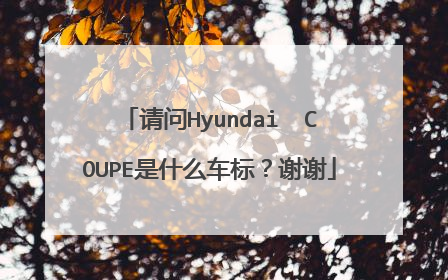 请问Hyundai  COUPE是什么车标？谢谢
