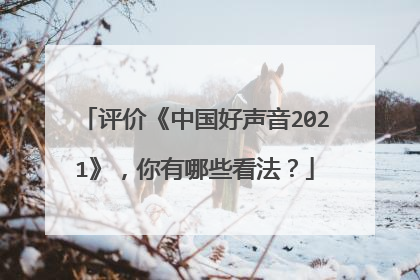 评价《中国好声音2021》，你有哪些看法？