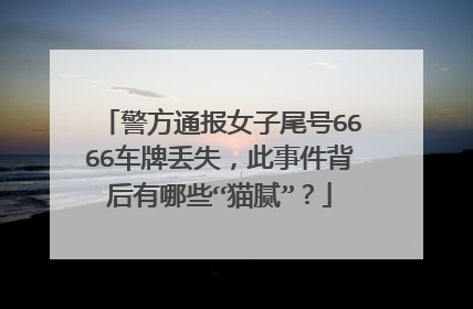 警方通报女子尾号6666车牌丢失，此事件背后有哪些“猫腻”？