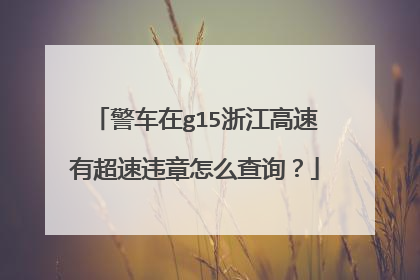 警车在g15浙江高速有超速违章怎么查询？