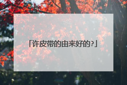许皮带的由来好的?
