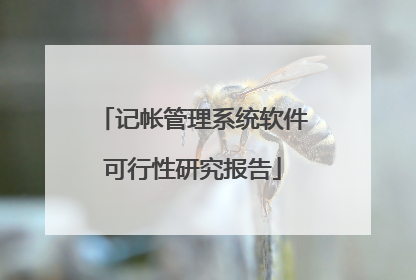 记帐管理系统软件可行性研究报告