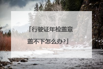 行驶证年检盖章盖不下怎么办?