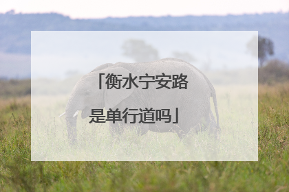 衡水宁安路是单行道吗