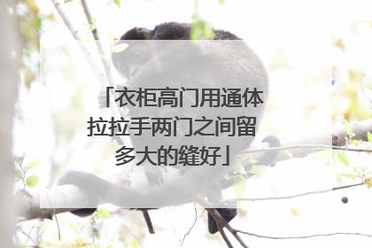 衣柜高门用通体拉拉手两门之间留多大的缝好