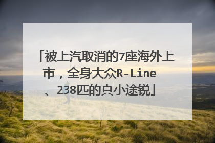 被上汽取消的7座海外上市，全身大众R-Line、238匹的真小途锐