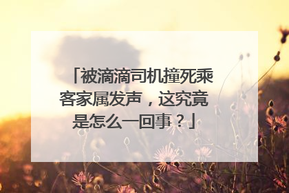 被滴滴司机撞死乘客家属发声，这究竟是怎么一回事？