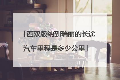 西双版纳到瑞丽的长途汽车里程是多少公里