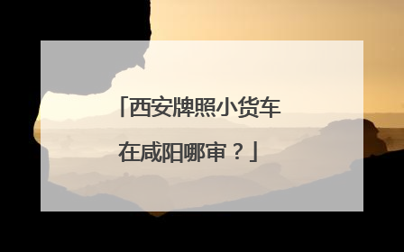 西安牌照小货车在咸阳哪审？