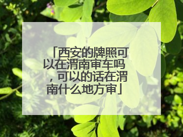 西安的牌照可以在渭南审车吗，可以的话在渭南什么地方审