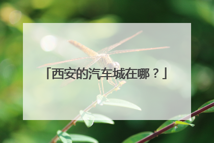 西安的汽车城在哪？