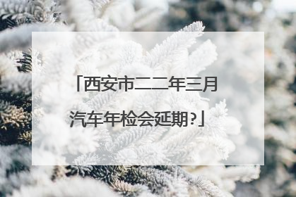 西安市二二年三月汽车年检会延期?