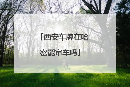 西安车牌在哈密能审车吗