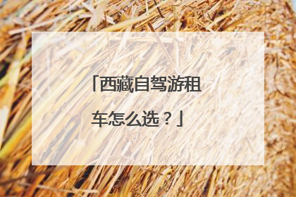 西藏自驾游租车怎么选？