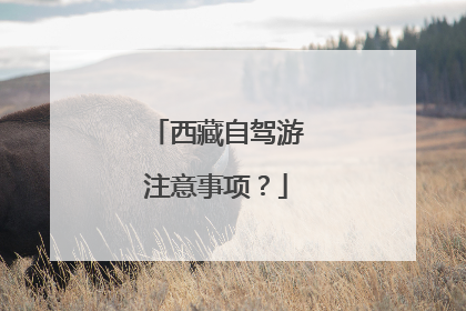 西藏自驾游注意事项？