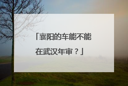 襄阳的车能不能在武汉年审？