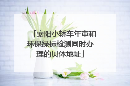 襄阳小轿车年审和环保绿标检测同时办理的贝体地址