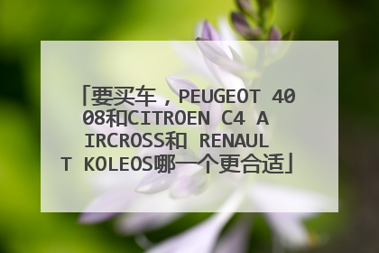 要买车，PEUGEOT 4008和CITROEN C4 AIRCROSS和 RENAULT KOLEOS哪一个更合适