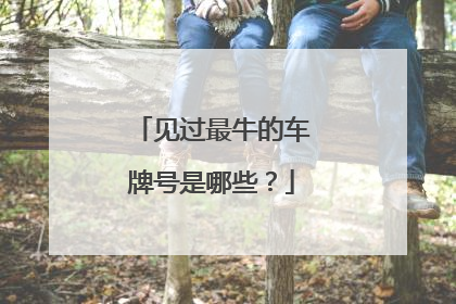 见过最牛的车牌号是哪些？