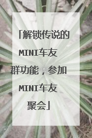 解锁传说的MINI车友群功能，参加MINI车友聚会