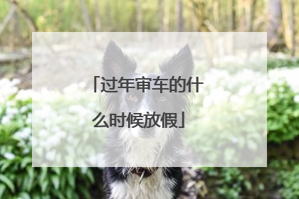 过年审车的什么时候放假