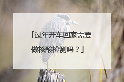 过年开车回家需要做核酸检测吗？