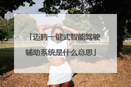 迈腾一键式智能驾驶辅助系统是什么意思