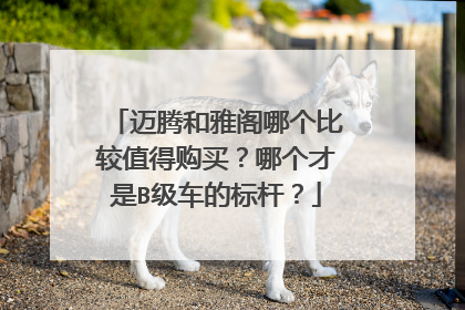 迈腾和雅阁哪个比较值得购买？哪个才是B级车的标杆？