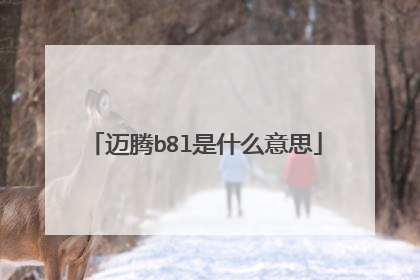 迈腾b8l是什么意思