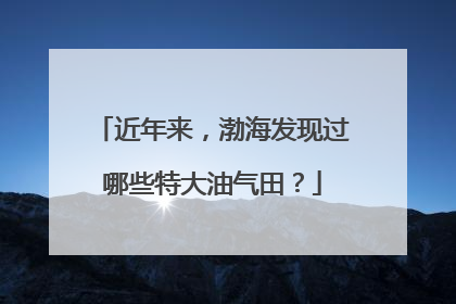近年来，渤海发现过哪些特大油气田？