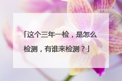 这个三年一检，是怎么检测，有谁来检测？