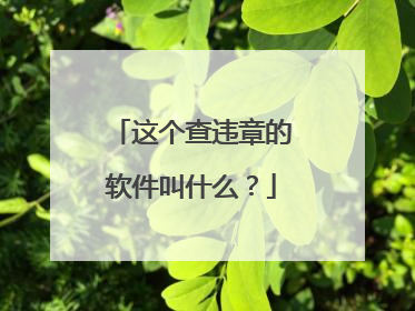 这个查违章的软件叫什么？