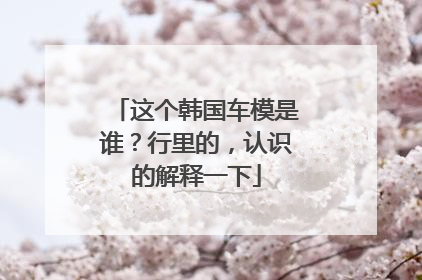 这个韩国车模是谁？行里的，认识的解释一下
