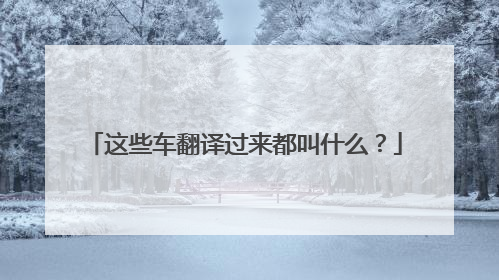 这些车翻译过来都叫什么？