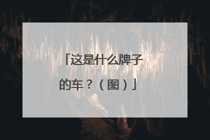 这是什么牌子的车？（图）