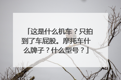 这是什么机车？只拍到了车屁股。摩托车什么牌子？什么型号？