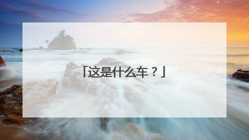 这是什么车？