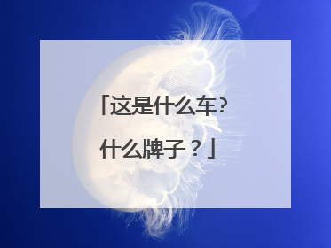 这是什么车? 什么牌子？