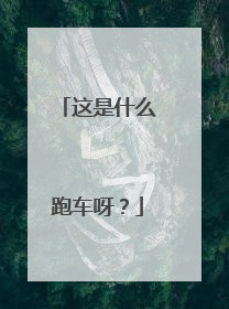 这是什么跑车呀？