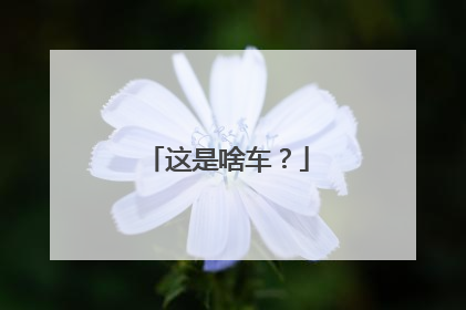 这是啥车？