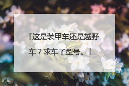 这是装甲车还是越野车？求车子型号。