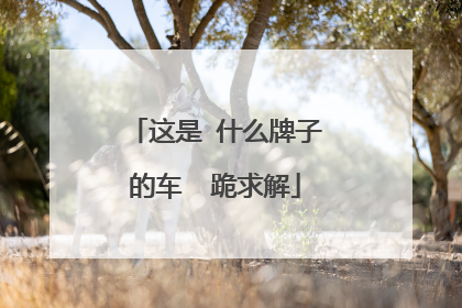 这是 什么牌子的车  跪求解