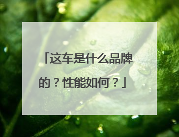这车是什么品牌的？性能如何？