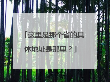 这里是那个省的具体地址是那里？