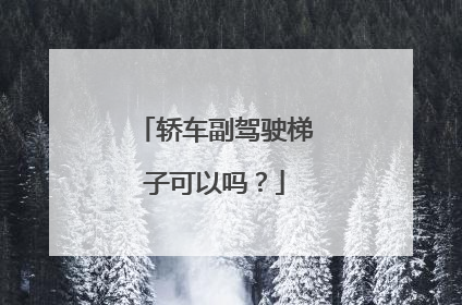 轿车副驾驶梯子可以吗？