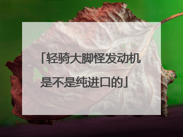 轻骑大脚怪发动机是不是纯进口的